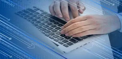 Java與網(wǎng)絡(luò)安全 從零基礎(chǔ)入門到精通，就業(yè)前景全面解析